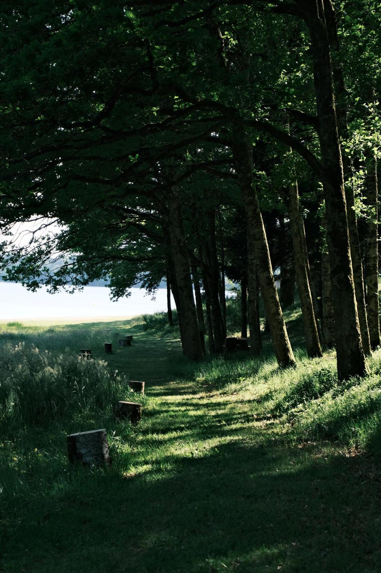 Lodge Avec Spa Privatif - Foret Et Lac Liginiac エクステリア 写真